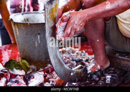 Fischer schneiden und Skalierung Fisch auf einem ständigen Blade boti in der indischen Fischmarkt in Kolkata Stockfoto