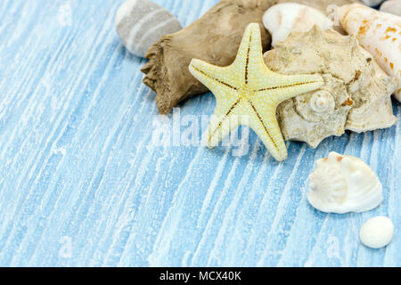 Muscheln, Sand und Seesternen auf Blau Holzbohlen Hintergrund. Ferienhäuser Konzept Stockfoto