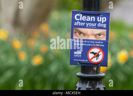 Rat Warnschild, nachdem Ihr Hund sauber funktioniert ein Poo, in Littlehampton, West Sussex, England, UK. Stockfoto