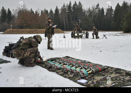 Die französischen Soldaten Durchführung Missionen mit einem 120 mm Mörser als Teil der Übung dynamische Vordere 18 an der US-Armee Grafenwöhr Training Area (Deutschland), März 05, 2018. Die Übung umfasst ca. 3.700 Teilnehmer aus 26 Nationen. Dynamische Vordere ist eine jährliche US-Army Europe (USAREUR) Übung konzentriert sich auf die Interoperabilität der US-Armee, gemeinsame Service- und Alliierten nation Artillerie und Fire Support im multinationalen Umfeld, von Theater-Hauptquartier, um Ziele festzulegen, zu gun Crews ziehen Schlüsselbänder im Feld. (U.S. Armee Foto von Gertrud Zach) Stockfoto