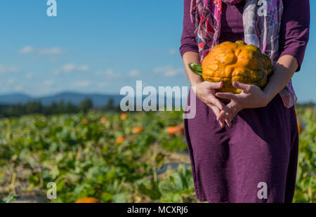 Durchführung einer Orange holprigen Kürbis mit Kopie Raum über Pumpkin Patch. Stockfoto