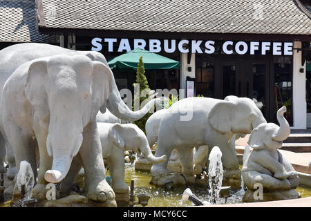 Starbucks Coffee Shop, Chiang Mai Stockfoto