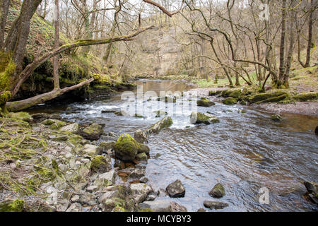 Wasserfall Land, vier Wasserfälle - Brecon Beacons National Park Stockfoto