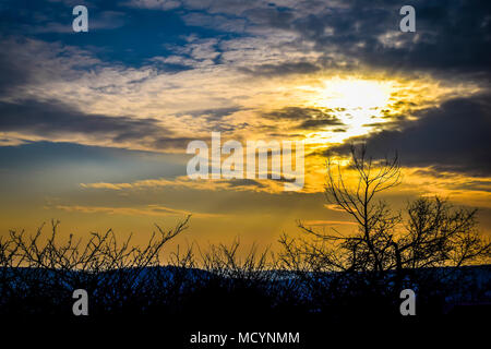 Spektakuläre lebendige Sonnenuntergang über den Bergen. Dramatische Wolken in der bunten Himmel, Zweige von Bäumen im Vordergrund. Stockfoto