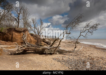 Benacre Strand-Suffolk Stockfoto