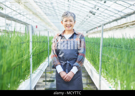 Ältere Frau im Gewächshaus Stockfoto