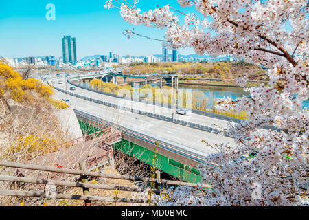 Seoul City View Mit forsythia Blume und Kirschblüten in Korea Stockfoto