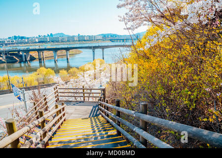 Seoul City View Mit forsythia Blume und Kirschblüten in Korea Stockfoto