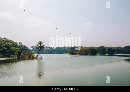 Lalbagh Botanical Garden in Bangalore, Indien Stockfoto