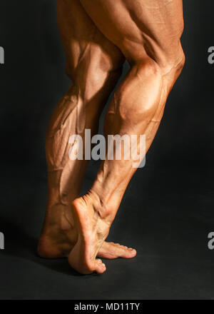 Detail der männlichen Bodybuilder zurück Bein Wadenmuskulatur auf schwarzem Hintergrund. Gastrocnemius und Soleus. Stockfoto
