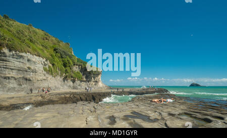 Sonnenbaden auf den Klippen am Muriwai in der Nähe von Auckland, Neuseeland, Nordinsel Stockfoto