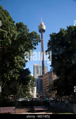 Sydney Tower Hyde Park Sydney New South Wales Australien Stockfoto