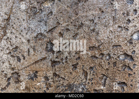 Moosige Wand; einer alten Mauer; als Hintergrund oder Textur benutzt Stockfoto