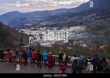 China, Yunnan, Yuanyang, terrassierten Reisfelder Stockfoto