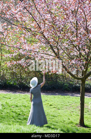 Brighton UK 18. April 2018. UK Wetter: eine Frau zu Fuß durch Queens Park in Brighton, genießt den Frühling Blüte an einem schönen sonnigen Tag. Warme, sonnige Wetter ist in Großbritannien für die nächsten Tage mit Temperaturen um 25 Grad in Teilen der Südosten: Simon Dack/Alamy Leben Nachrichten erreichen Stockfoto