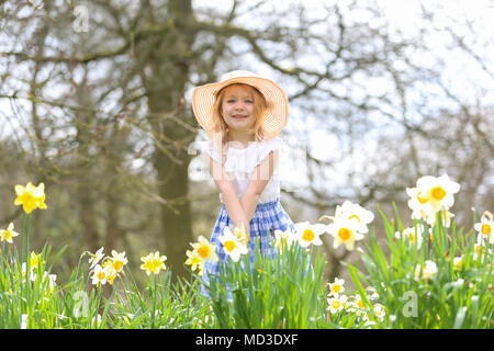 Vier Jahre altes Mädchen sitzt dargestellt unter Frühling Narzissen in einem Park GROSSBRITANNIEN Stockfoto
