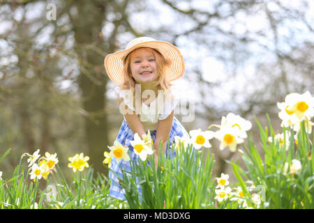 Vier Jahre altes Mädchen sitzt dargestellt unter Frühling Narzissen in einem Park GROSSBRITANNIEN Stockfoto