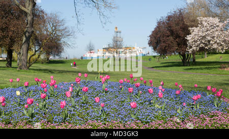 Gravesend, Vereinigtes Königreich. 18. April 2018. Bunte Blumen von Gravesend Prom neben der Themse. Es hat einen warmen, sonnigen Tag in Gravesend, Kent. Gravesend Datensätze oft die höchsten Temperaturen im Land. Rob Powell/Alamy leben Nachrichten Stockfoto