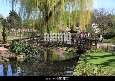 London, Großbritannien. 18. April 2018. Schönes Wetter im Frühling kommt endlich in Queen Mary's Gärten im Regents Park, London. Credit: Monica Wells/Alamy leben Nachrichten Stockfoto