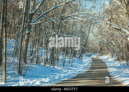 Eine schmale Landstraße schlängelt sich durch Schnee bedeckt, blattlosen Bäume in einem Wald. Stockfoto