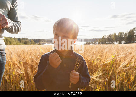 Junge im Weizenfeld Weizen untersuchen, Lohja, Finnland Stockfoto