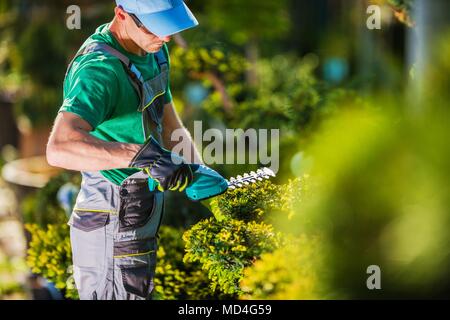 Frühling Pflanzen schneiden. Kaukasische Gärtner im Garten. Stockfoto