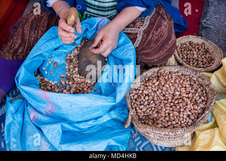 Muslimische Frauen, die arganöl in traditioneller Art in Marokko. Traditionelle Herstellung von Arganöl für Kosmetik und im Lebensmittelbereich verwendet Stockfoto