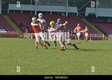 Derry v Armagh GAA Hurling Allianz Nationale Hurling Liga, Celtic Park, Derry. Stockfoto