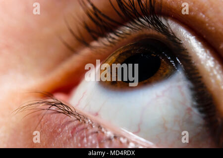 Nahaufnahme der Schönen Auge mit brauner Iris Suchen bis in den Himmel Stockfoto