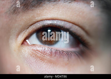 Komplizierte weiblichen Braunes Auge starrte auf Kamera Stockfoto