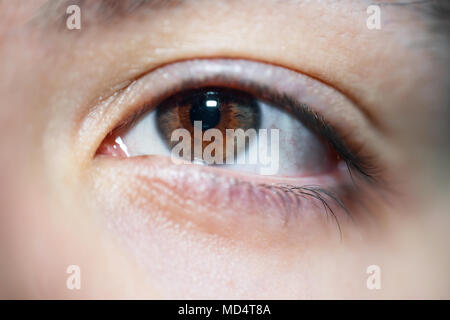 Komplizierte weiblichen Braunes Auge starrte auf Kamera Stockfoto