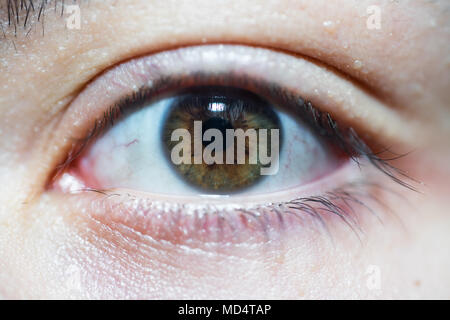 Schöne weibliche Braunes Auge mit komplizierten Iris Suchen an Kamera Stockfoto