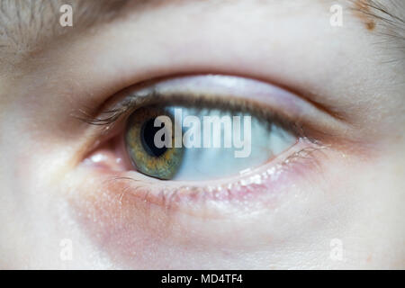 Nahaufnahme der schönen grünen Frau Augen mit langen Wimpern Seitenansicht Stockfoto