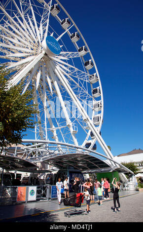 Kap Rad, touristische Attraktion auf Kapstadt Waterfront, Südafrika Stockfoto