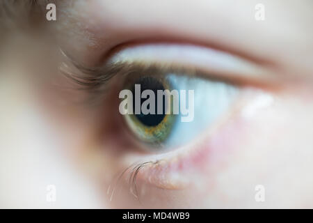 Nahaufnahme der schönen grünen Frau Augen mit langen Wimpern Seitenansicht Stockfoto