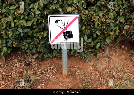 Keine Blumen pflücken Zeichen auf Metall Pol vor dunklen Hecke im Wintergarten mit Laub und Sprinkler montiert Stockfoto