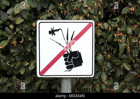 Keine Blumen pflücken weißes Metall Schild montiert auf graues Metall Pol vor dunklen Hecke Stockfoto