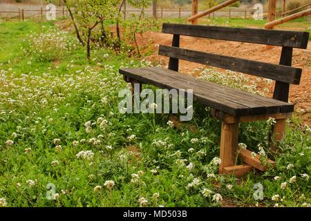 Holzbank von Vegetation und Blumen in einem Park in einem Dorf in Spanien umgeben Stockfoto