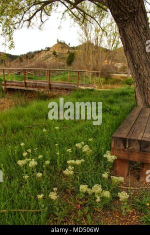 Holzbank von Vegetation und Blumen in einem Park in einem Dorf in Spanien umgeben Stockfoto