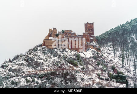 Sankt Ulrich Schloss in den Vogesen in der Nähe von Ribeauville. Elsass, Frankreich Stockfoto