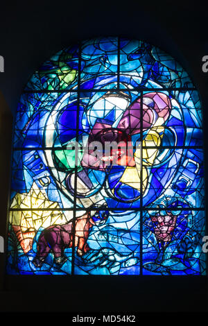 Kirchenfenster von Chagall, die den Stamm Benjamin an der Hadassah Krankenhaus in Jerusalem. Stockfoto