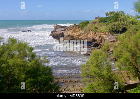 Küste und Tamarix Bäume in der Biskaya in Biarritz, einer Stadt an der Atlantikküste im Departement Pyrénées-Atlantiques im französischen Baskenland Stockfoto