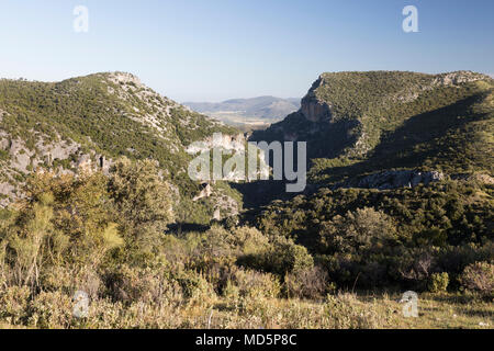 Blick auf die Garganta Verde grüne Schlucht vom Mirador Puerto de los Acebuches, Naturpark Sierra de Grazalema, Andalusien, Spanien, Europa Stockfoto