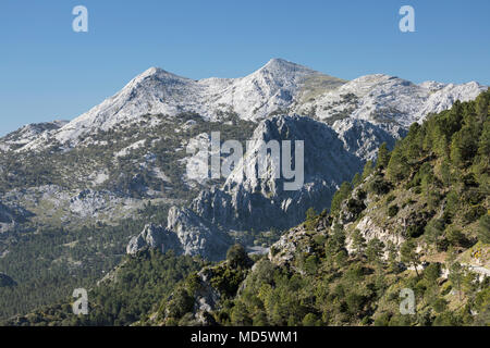 Die Gipfel von El Simancon und El Reloj mit der Sierra del Pinar Berge, Naturpark Sierra de Grazalema, Andalusien, Spanien, Europa Stockfoto