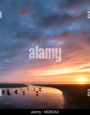 Cannon Beach bei Sonnenuntergang mit Haystack Rock, Bach und Paar mit Hund. Oregon Stockfoto