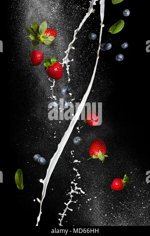 Berry mix. Frische reife Erdbeeren und Blaubeeren im Flug auf einem schwarzen Hintergrund. Spirale Ströme von Milch Stockfoto