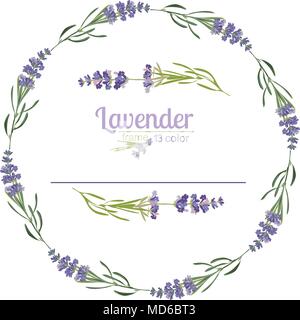 Violett Lavendel schönen floralen frames Vorlage in Aquarell Stil auf weißen Hintergrund für dekorative Gestaltung, Hochzeit Karte, Einladung isoliert, tra Stock Vektor