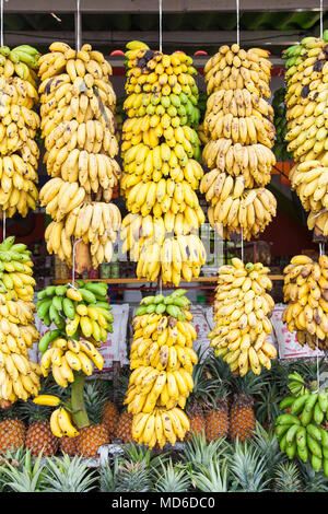 Bananen für Verkauf an einem strassenrand stop Riviera Nayarit, Mexiko Stockfoto