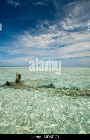 Insel in Gorontalo. Sulawesi. Indonesien Stockfoto