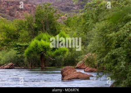 Rio Yaqui, in der Gemeinde von Soyopa., Sonora, Mexiko. ** © Foto: © LuisGutierrez/NortePhoto.com Rio Yaqui localizado en el municio de Sonora Mexiko. © Foto: © LuisGutierrez/NortePhoto.com Stockfoto